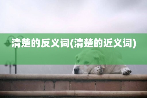 清楚的反義詞(清楚的近義詞) 