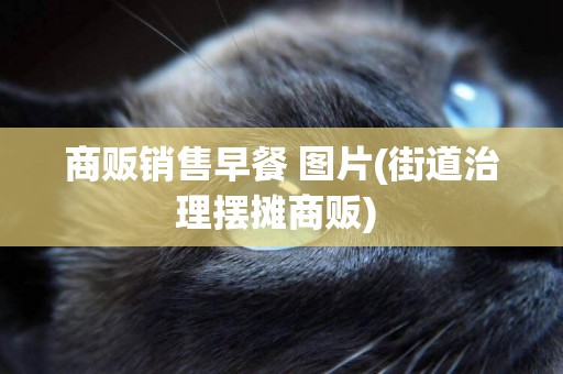 商販銷售早餐 圖片(街道治理擺攤商販) 