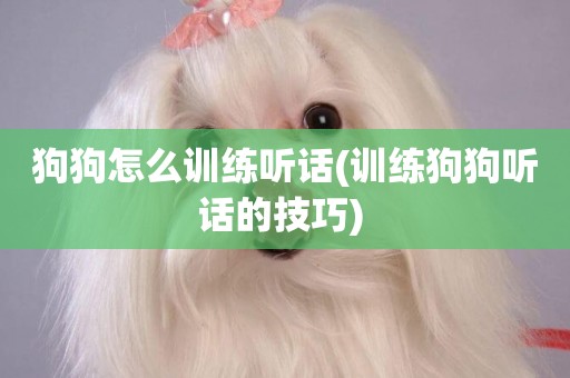 狗狗怎么訓練聽話(訓練狗狗聽話的技巧) 