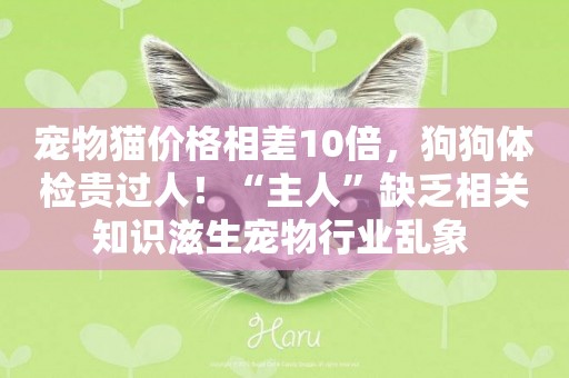 寵物貓價格相差10倍，狗狗體檢貴過人！“主人”缺乏相關知識滋生寵物行業亂象 