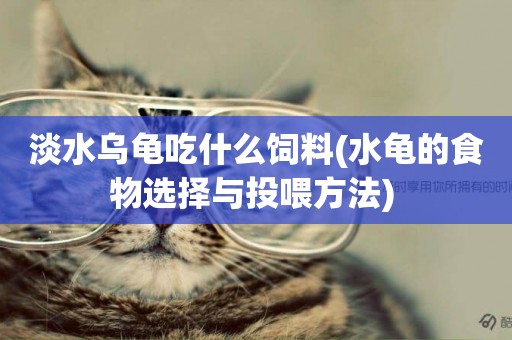 淡水烏龜吃什么飼料(水龜的食物選擇與投喂方法) 