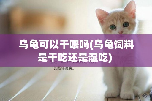 烏龜可以干喂嗎(烏龜飼料是干吃還是濕吃) 