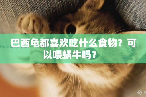 巴西龜都喜歡吃什么食物？可以喂蝸牛嗎？ 