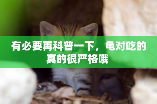 有必要再科普一下，龜對吃的真的很嚴格哦 