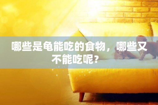 哪些是龜能吃的食物，哪些又不能吃呢？ 