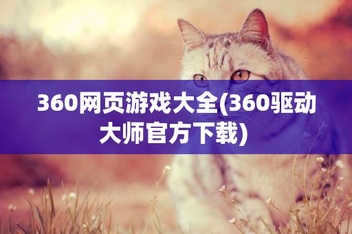 360網頁游戲大全(360驅動大師官方下載) 