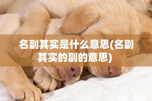 名副其實是什么意思(名副其實的副的意思) 