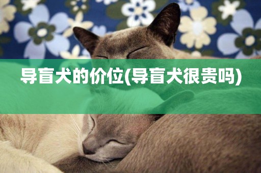 導盲犬的價位(導盲犬很貴嗎) 