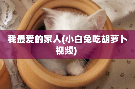 我最愛的家人(小白兔吃胡蘿卜視頻) 