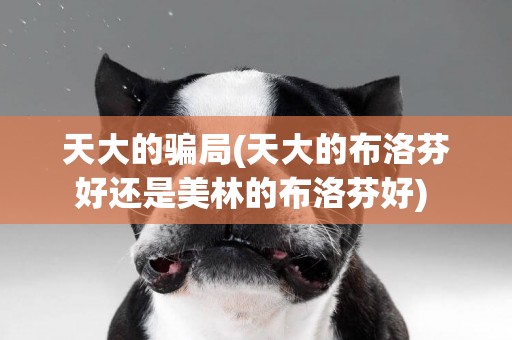 天大的騙局(天大的布洛芬好還是美林的布洛芬好) 