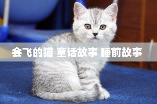 會飛的貓 童話故事 睡前故事 
