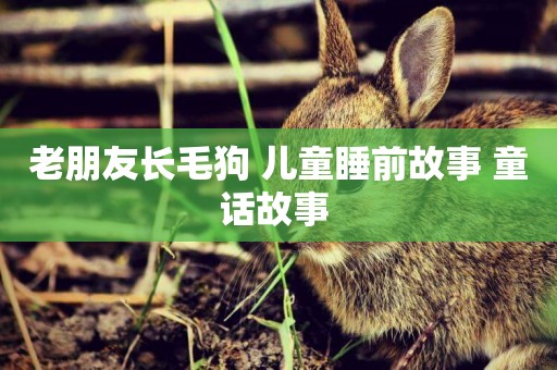 老朋友長毛狗 兒童睡前故事 童話故事 