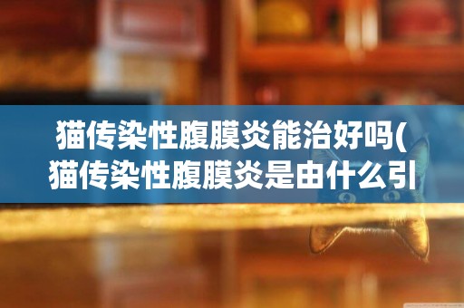 貓傳染性腹膜炎能治好嗎(貓傳染性腹膜炎是由什么引起的) 