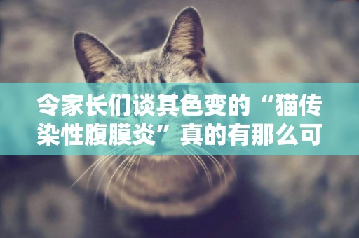 令家長們談其色變的“貓傳染性腹膜炎”真的有那么可怕嗎？ 