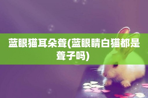 藍眼貓耳朵聾(藍眼睛白貓都是聾子嗎) 