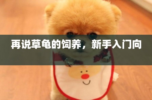 再說草龜的飼養，新手入門向 