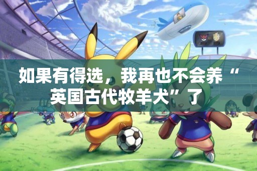 如果有得選，我再也不會養“英國古代牧羊犬”了 