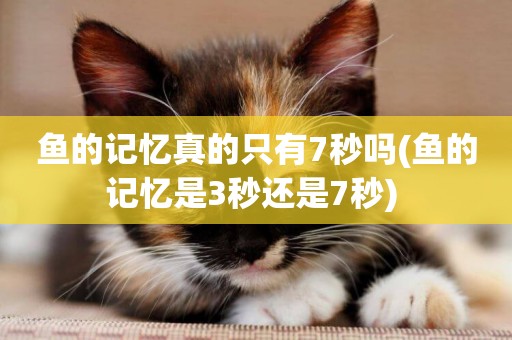 魚的記憶真的只有7秒嗎(魚的記憶是3秒還是7秒) 