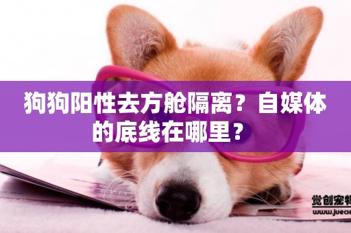 狗狗陽性去方艙隔離？自媒體的底線在哪里？ 