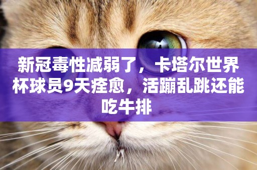 新冠毒性減弱了，卡塔爾世界杯球員9天痊愈，活蹦亂跳還能吃牛排 
