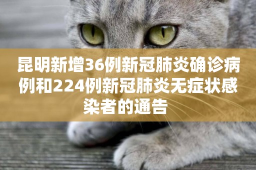 昆明新增36例新冠肺炎確診病例和224例新冠肺炎無癥狀感染者的通告 