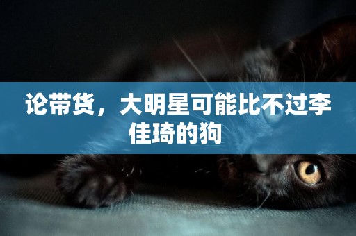論帶貨，大明星可能比不過李佳琦的狗 