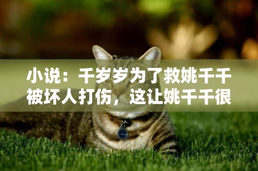 小說：千歲歲為了救姚千千被壞人打傷，這讓姚千千很心疼 