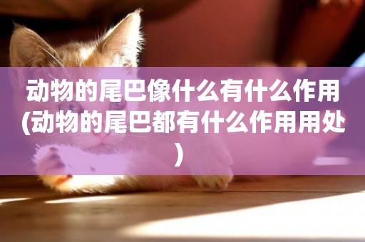 動物的尾巴像什么有什么作用(動物的尾巴都有什么作用用處) 