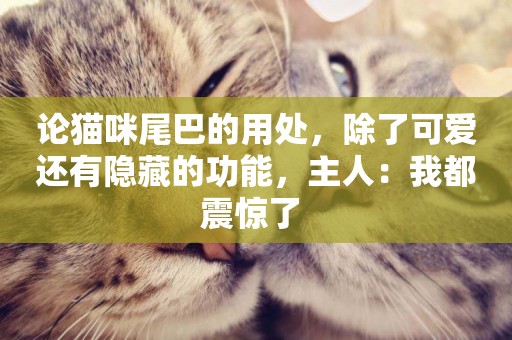 論貓咪尾巴的用處，除了可愛還有隱藏的功能，主人：我都震驚了 