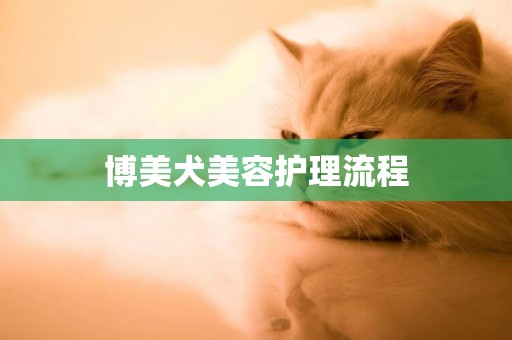 博美犬美容護理流程