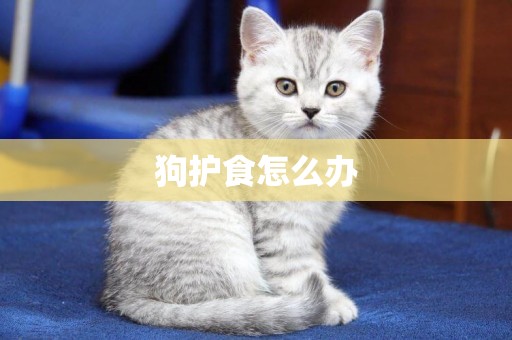狗護食怎么辦