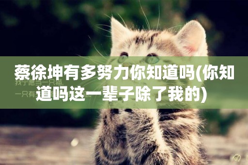 蔡徐坤有多努力你知道嗎(你知道嗎這一輩子除了我的) 