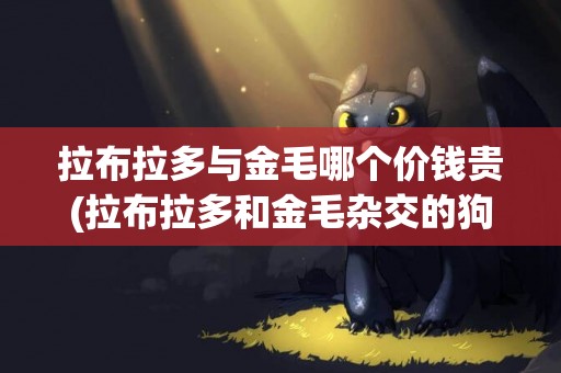 拉布拉多與金毛哪個價錢貴(拉布拉多和金毛雜交的狗狗值多少錢) 