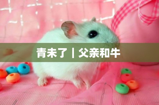 青未了｜父親和牛 