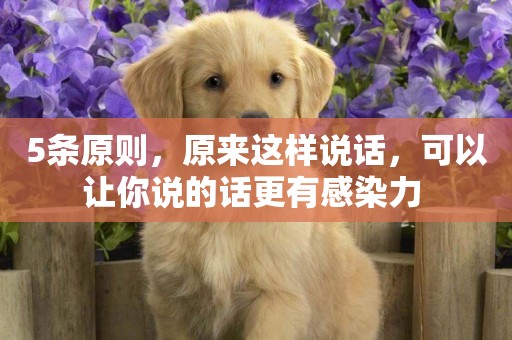 5條原則，原來這樣說話，可以讓你說的話更有感染力 
