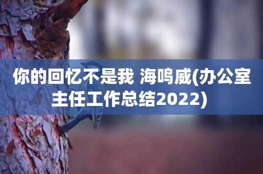 你的回憶不是我 海鳴威(辦公室主任工作總結2022) 