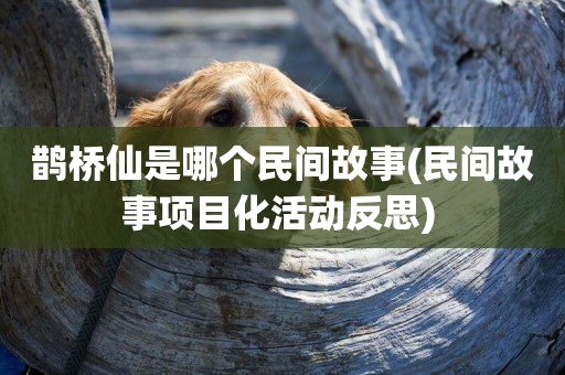 鵲橋仙是哪個民間故事(民間故事項目化活動反思) 