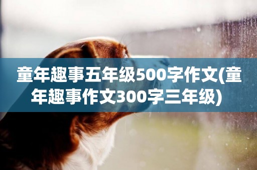 童年趣事五年級500字作文(童年趣事作文300字三年級) 