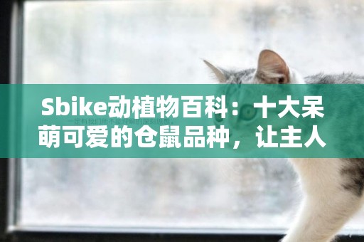 Sbike動植物百科：十大呆萌可愛的倉鼠品種，讓主人幸福滿滿 