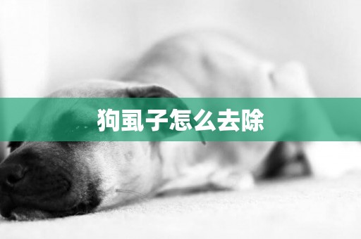 狗虱子怎么去除