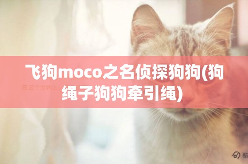 飛狗moco之名偵探狗狗(狗繩子狗狗牽引繩) 