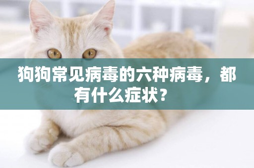 狗狗常見病毒的六種病毒，都有什么癥狀？ 