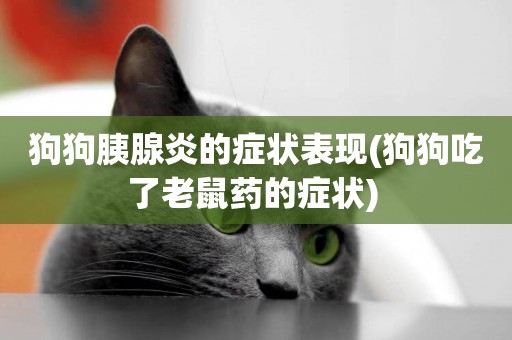狗狗胰腺炎的癥狀表現(狗狗吃了老鼠藥的癥狀) 
