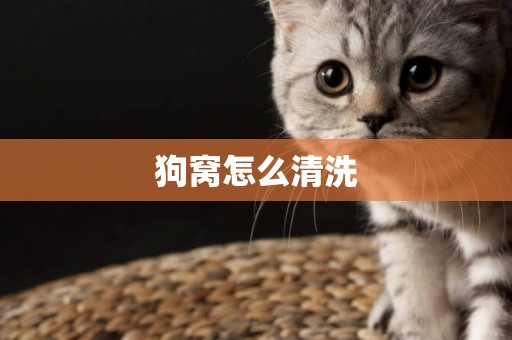 狗窩怎么清洗