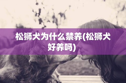 松獅犬為什么禁養(松獅犬好養嗎) 