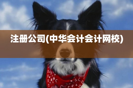 注冊公司(中華會計會計網校) 