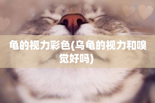 龜的視力彩色(烏龜的視力和嗅覺好嗎) 