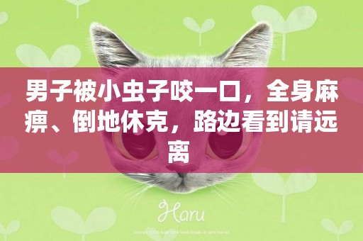 男子被小蟲子咬一口，全身麻痹、倒地休克，路邊看到請遠離 