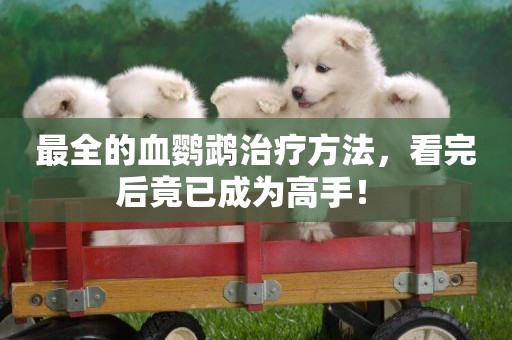 最全的血鸚鵡治療方法，看完后竟已成為高手！ 