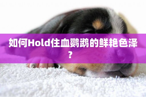 如何Hold住血鸚鵡的鮮艷色澤？ 
